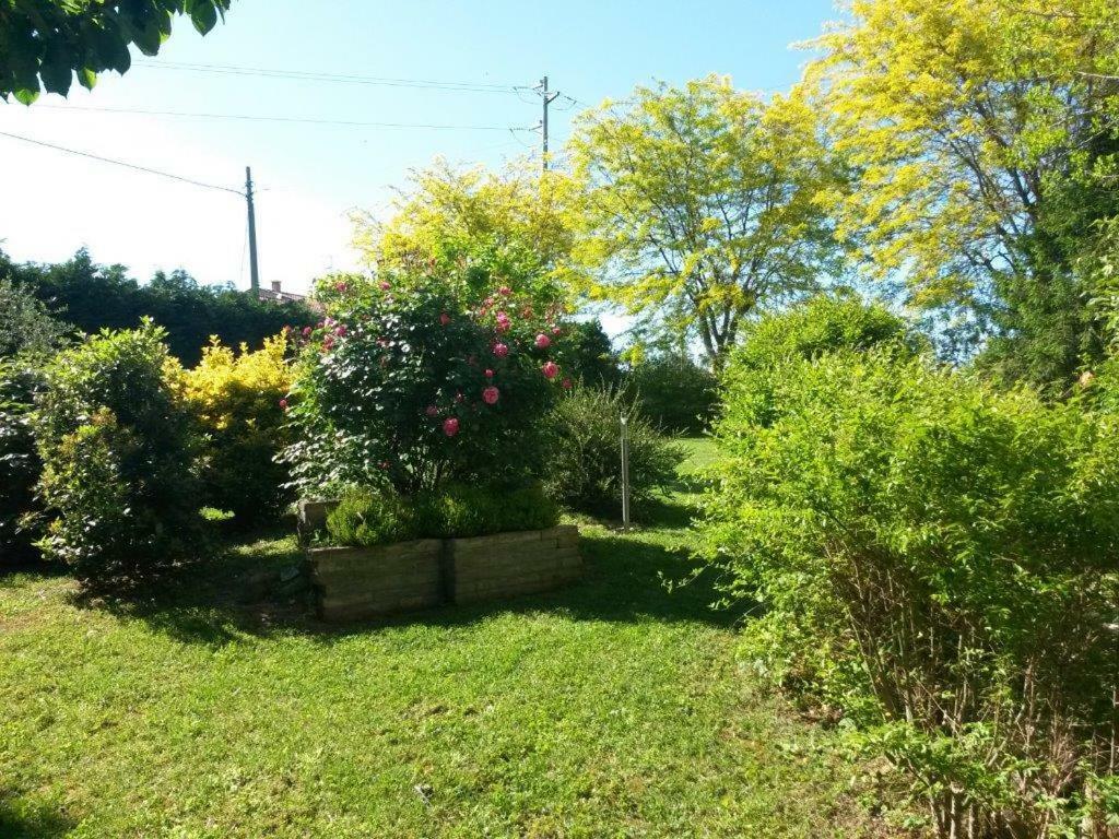 Casavittorio Bed & Breakfast San Giovanni In Marignano Dış mekan fotoğraf