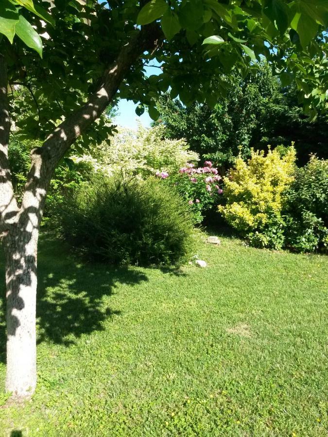 Casavittorio Bed & Breakfast San Giovanni In Marignano Dış mekan fotoğraf